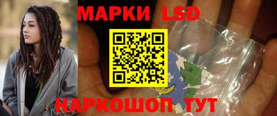 шишки Лесной