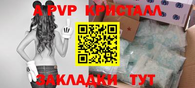 шишки Лесной