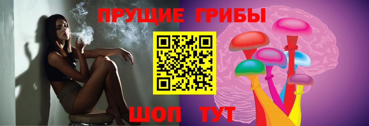 Псилоцибиновые грибы прущие грибы Лосино-Петровский